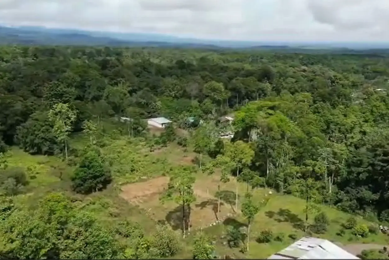 For Sale: Guapiles, Limón: Vast 6.2 Hectare Farm - image 7