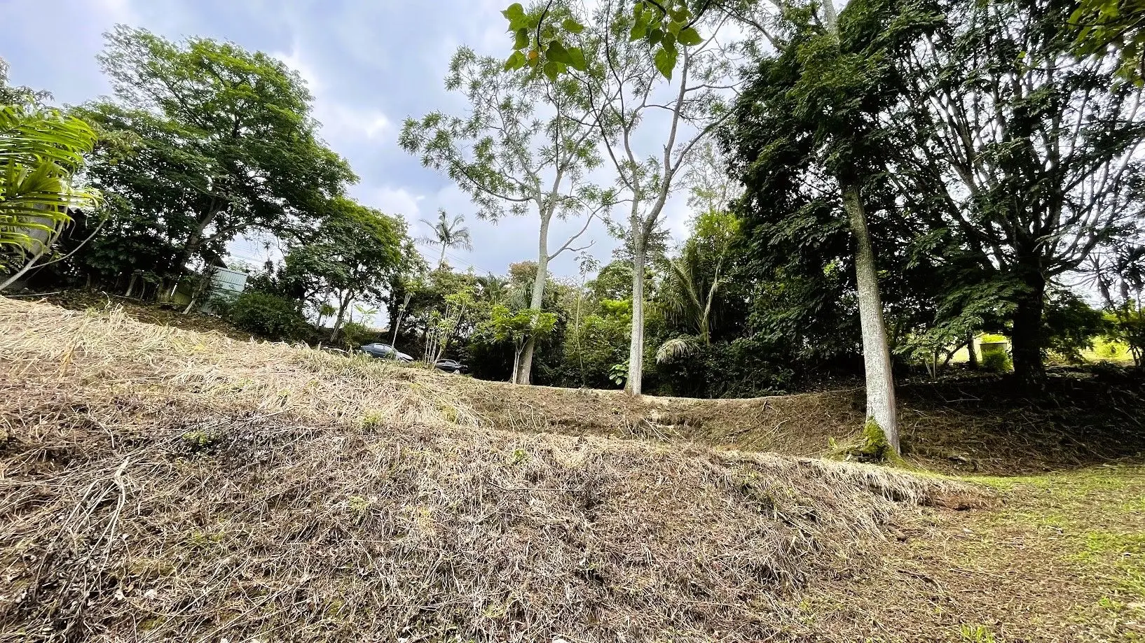 LAND FOR SALE IN SAN MIGUEL, NARANJO  - image 13