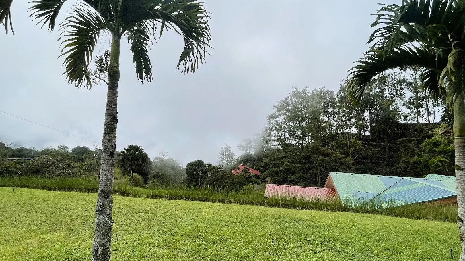 OCEAN VIEW LOT FOR SALE IN SANTIAGO, SAN RAMON - image 9