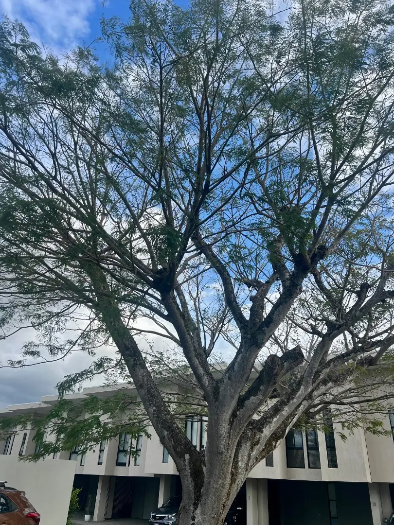 Propiedad en Renta, Condominio Lindora 43, Santa Ana, San José, Costa Rica - image 15