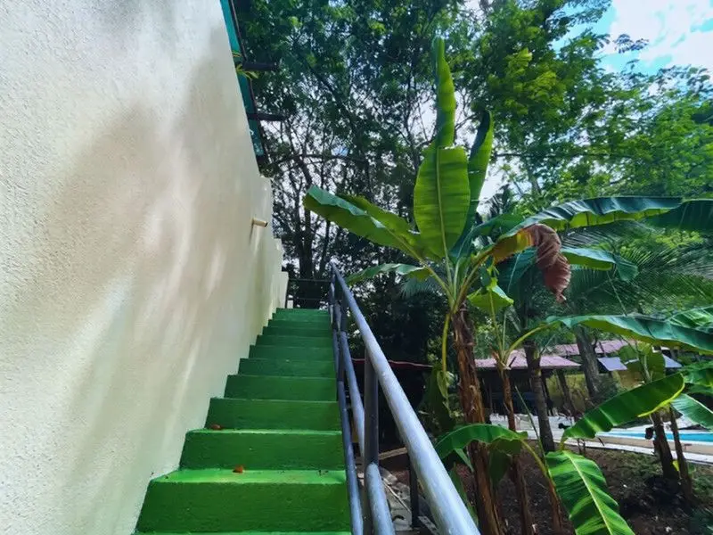 Private Sanctuary Between Jacó & Herradura: Peace & Nature, 10 Min from Everything - image 6