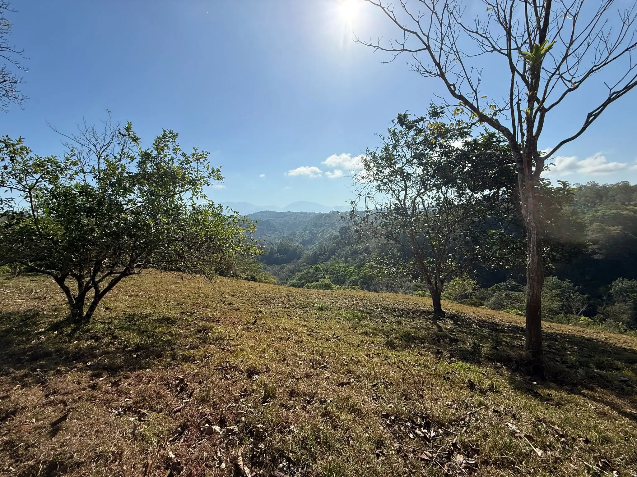 Eco-Luxury Mountain Santuary  11.48 Hectares of Pristine Paradise: Lush Forest, River & Farm Potential in Arenal Puriscal , San Jose  - image 4