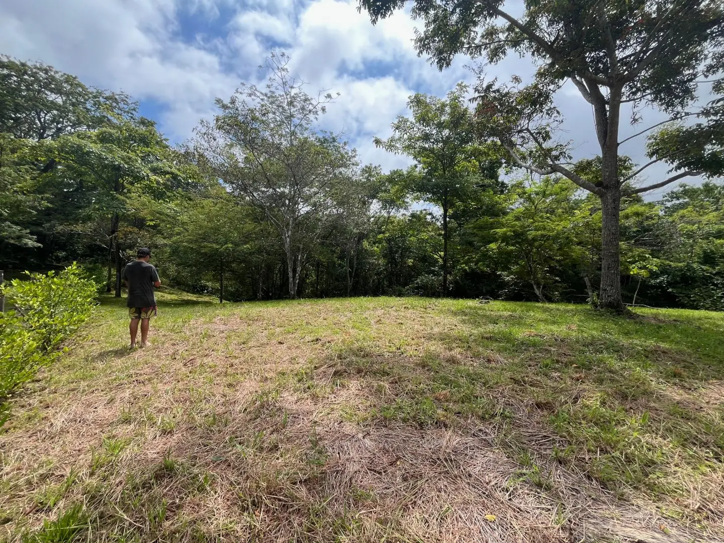 Beautiful Ready to Build Lot in Delicias,  Great Price with Project and Permits included - image 8