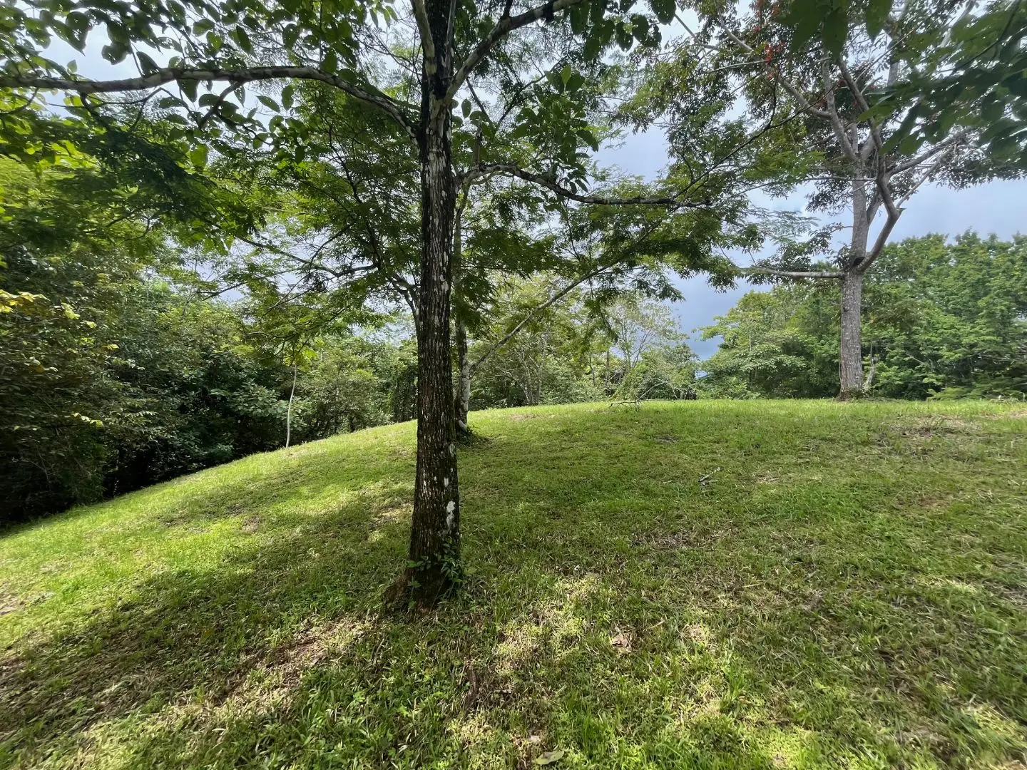 Beautiful Ready to Build Lot in Delicias,  Great Price with Project and Permits included - image 7