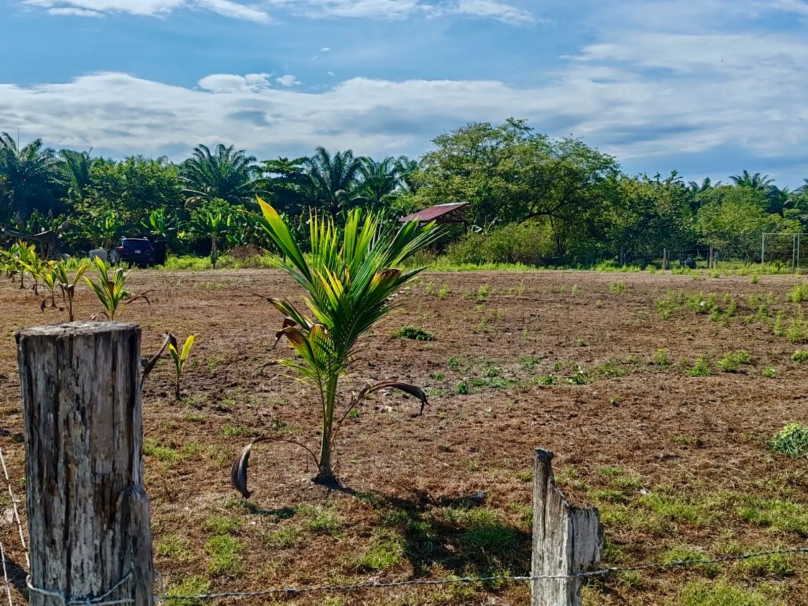 Expansive 4200sqm Land for Development or Farming near Playa Palo Seco, Parrita - image 12