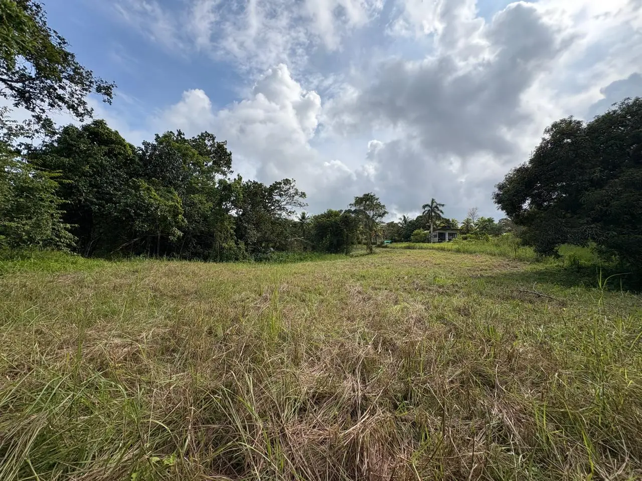 6,179 m² mixed-use land  in Delicias, minutes from  Montezuma and Santa Teresa - image 12
