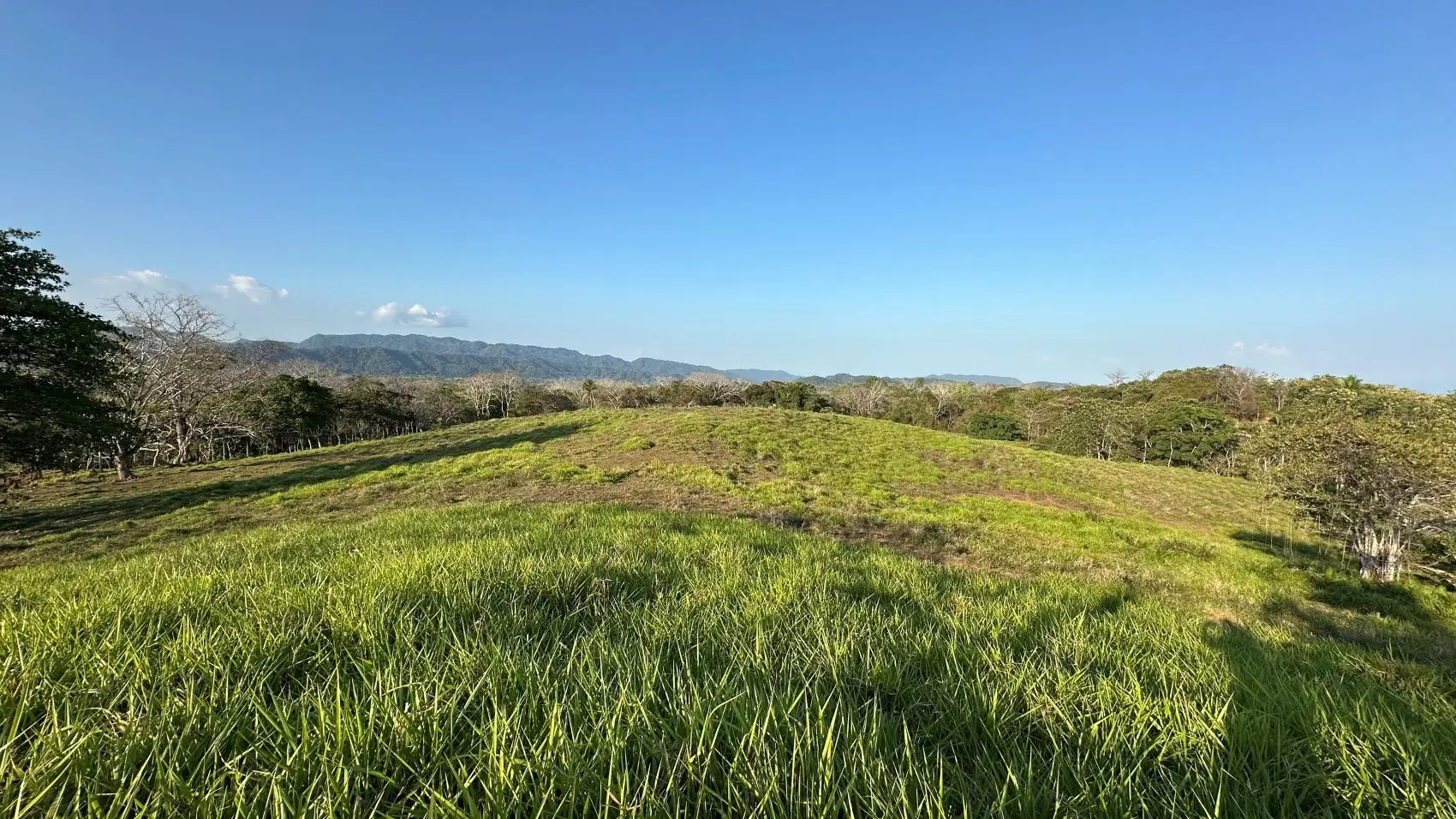 Exceptional 32-Hectare Finca for Sale Near Santa Teresa, Costa Rica – $12.50/m² - image 10