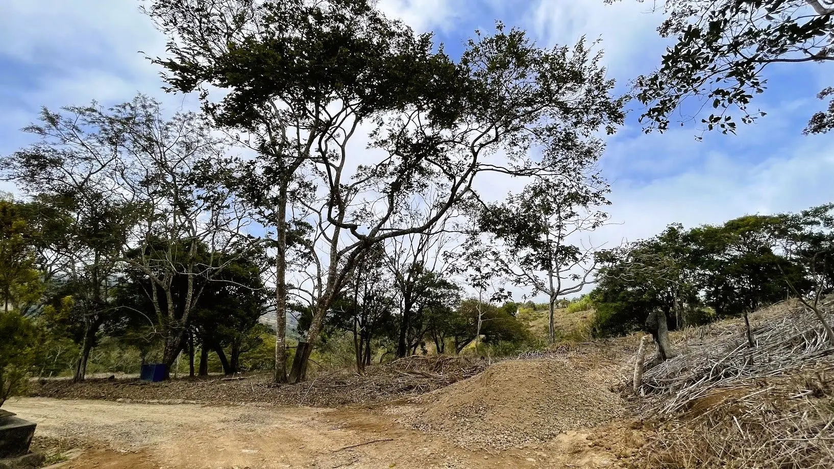 LOT FOR SALE IN SAN PEDRO, SAN RAMON - image 2