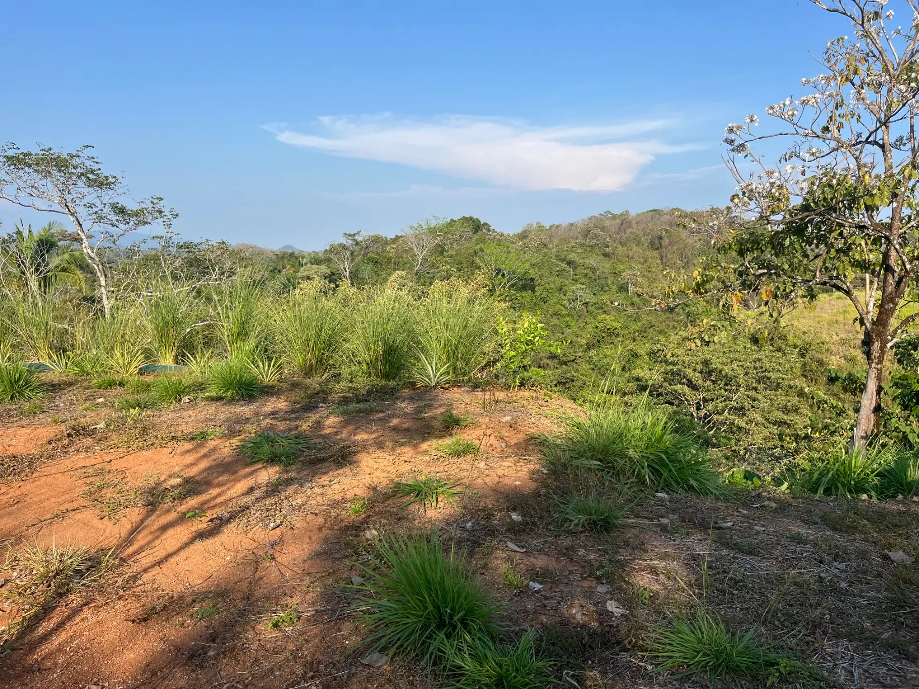 Lot with three building sites minutes to Hermosa in quiet neighborhood  - image 7