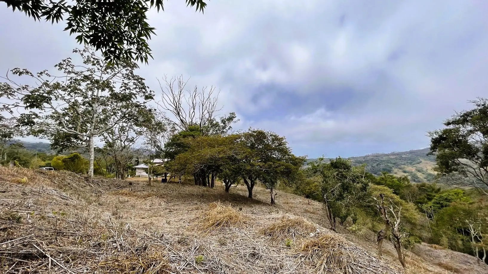 LOT FOR SALE - SAN PEDRO, SAN RAMON  - image 11