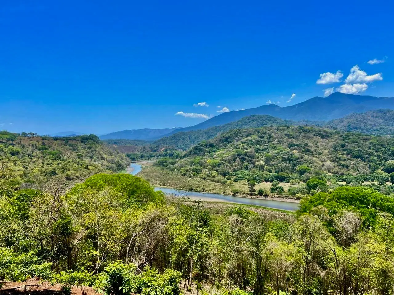 Prime Development Land Overlooking Carara Reserve & Tárcoles River | 2 Hectares - image 2
