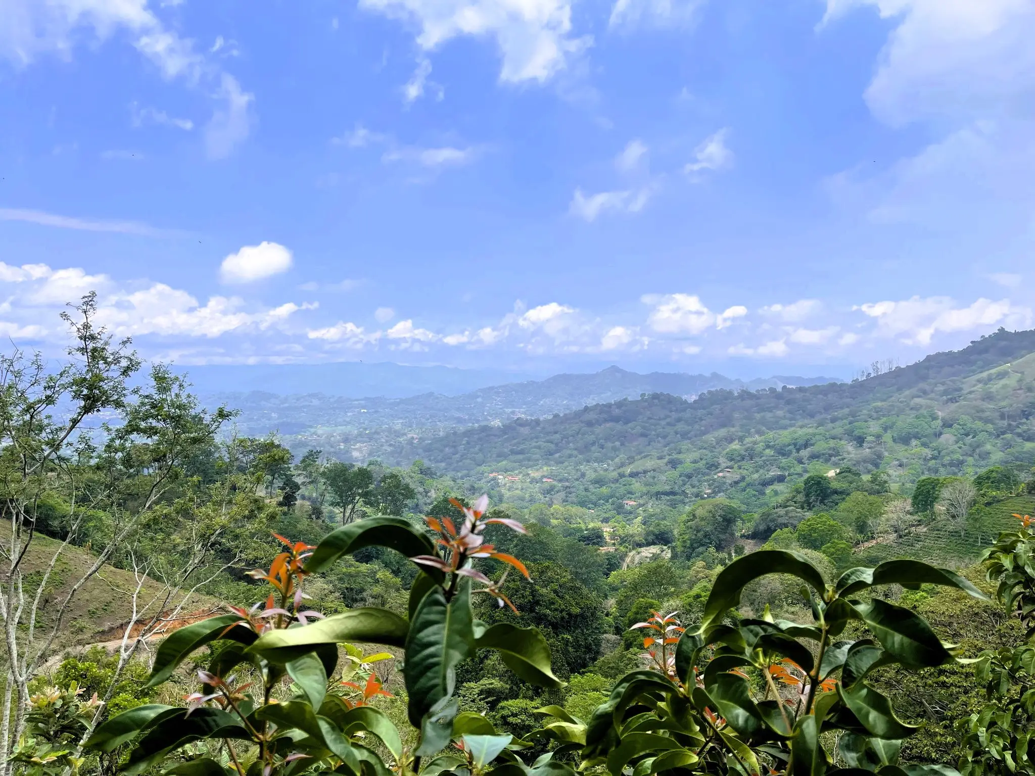 LAND FOR SALE IN ATENAS, ALAJUELA  - image 5