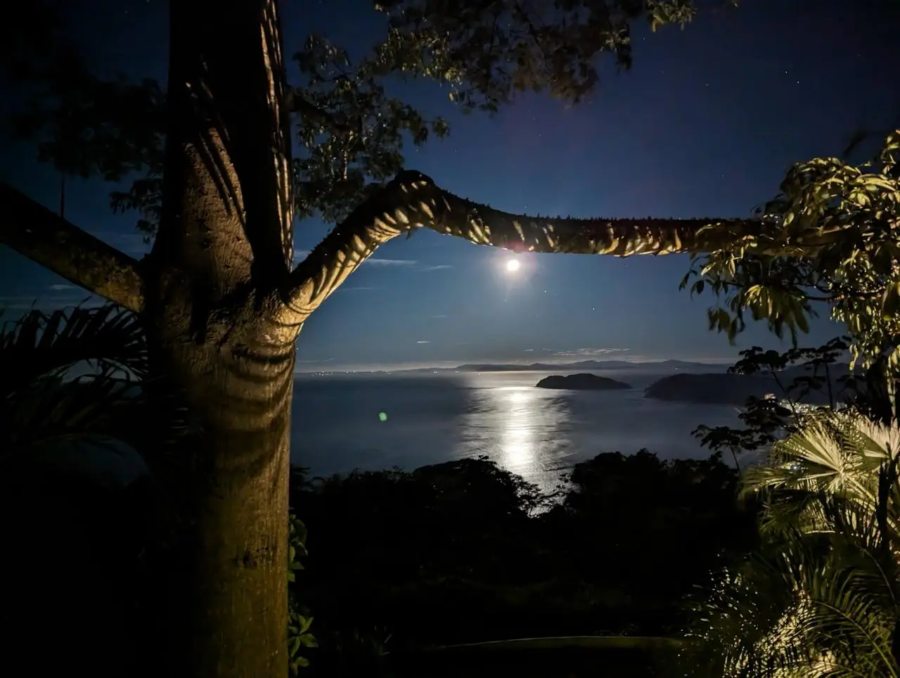 Jacó Rental: 1-Bed Apartment with Ocean View & Private Pool in Cerro Fresco. - image 13