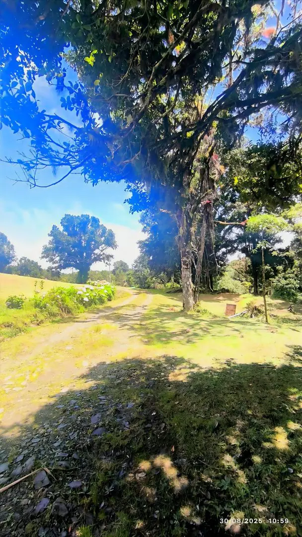 Cypress Wood Chalet with Organic Garden - image 11