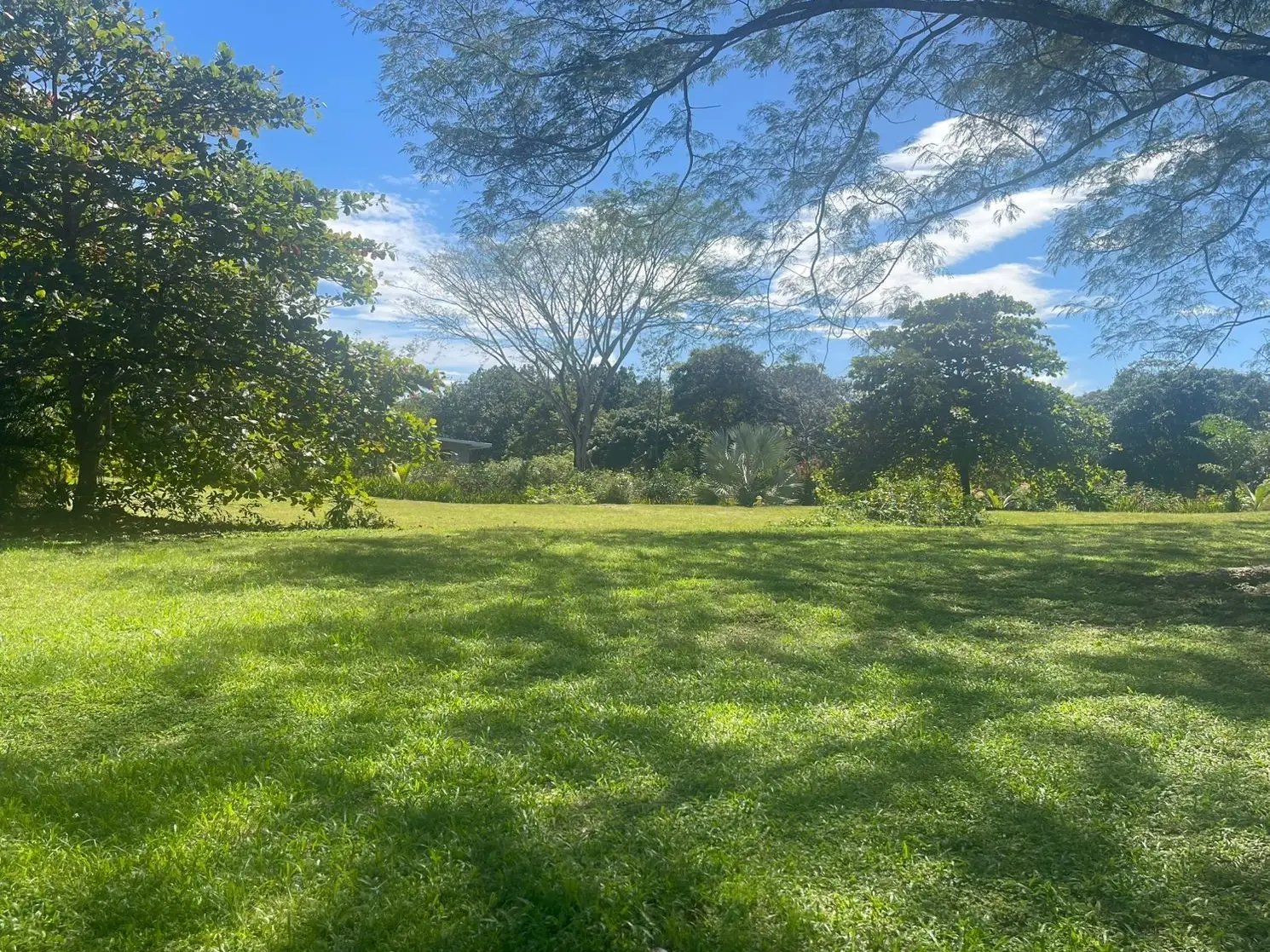 A hidden paradise in Orotina: 4,919 m² to create the life you dream of - image 8