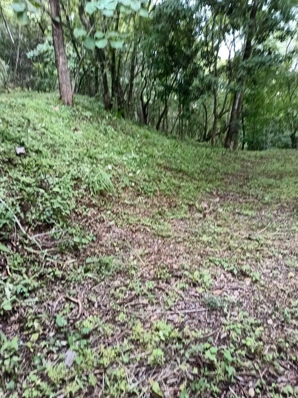 magnificent terraine  - image 2