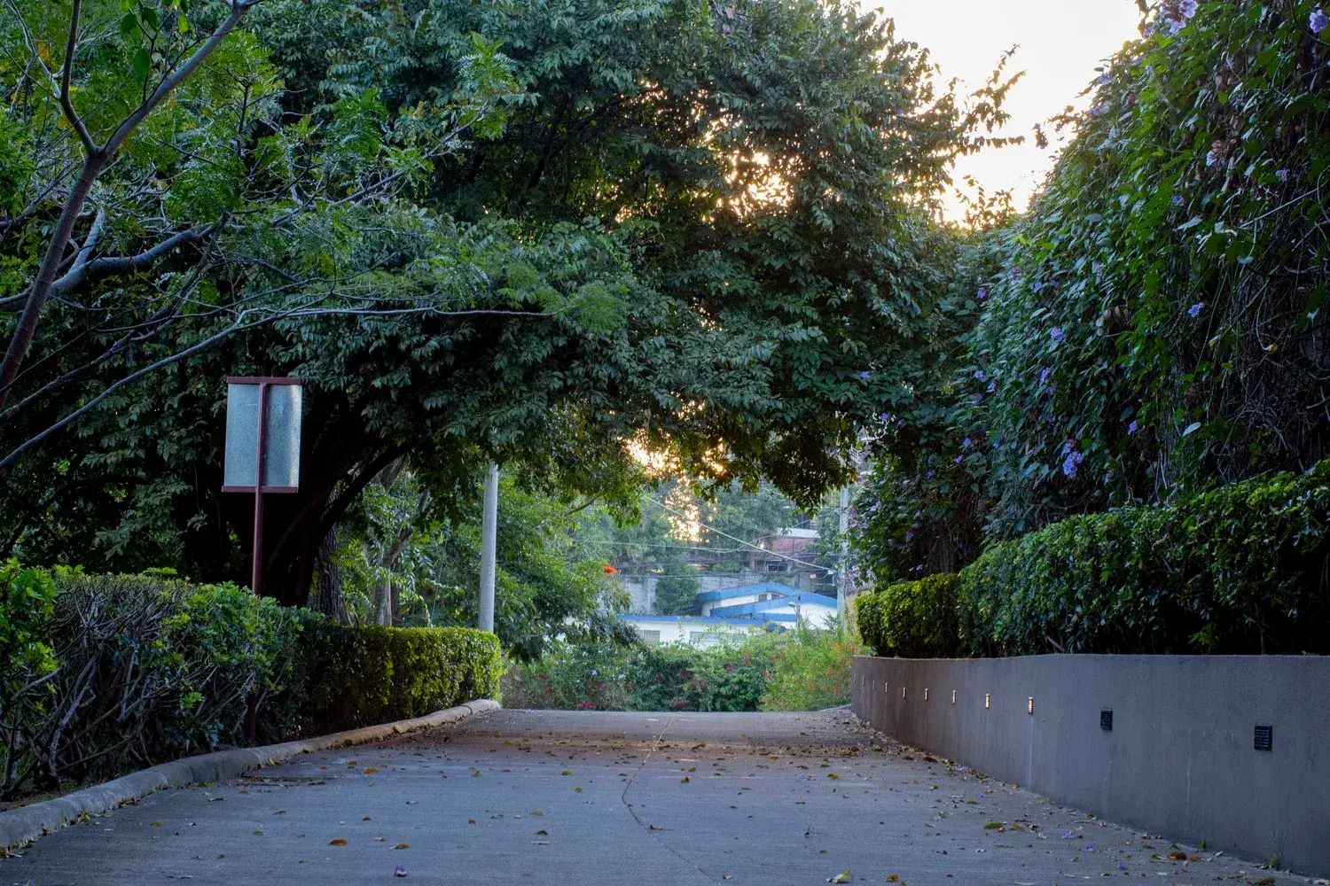 Stylish 1-Bedroom Apartment in San Rafael, Escazú with Nature Views - image 13