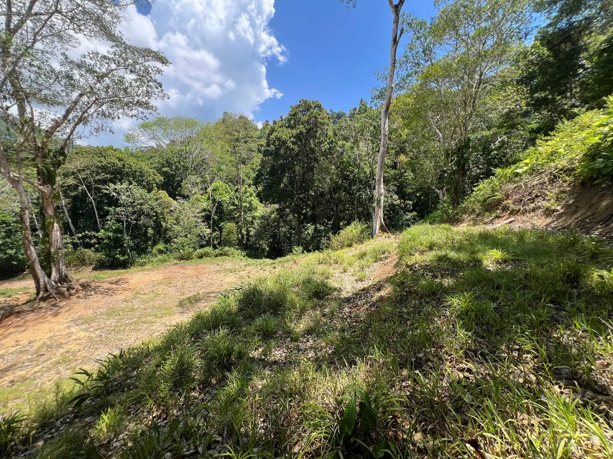 Prime 5028sqm Development Lot in Jacó, Costa Rica – Endless Possibilities Await  - image 8