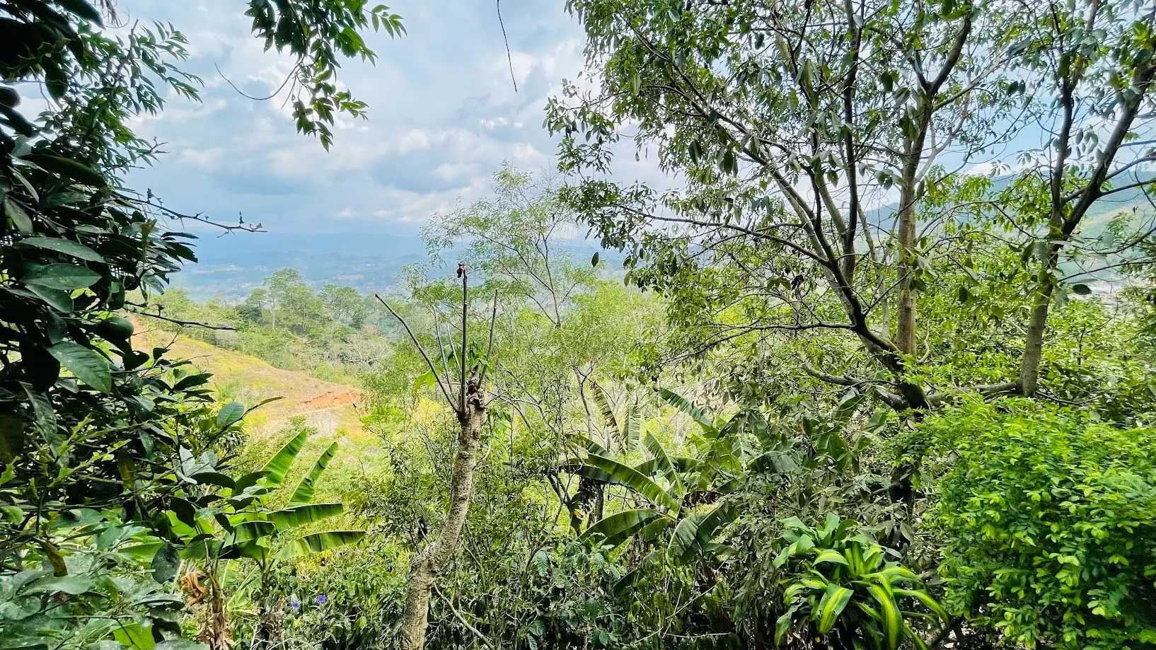 LAND FOR SALE IN ATENAS, ALAJUELA  - image 6