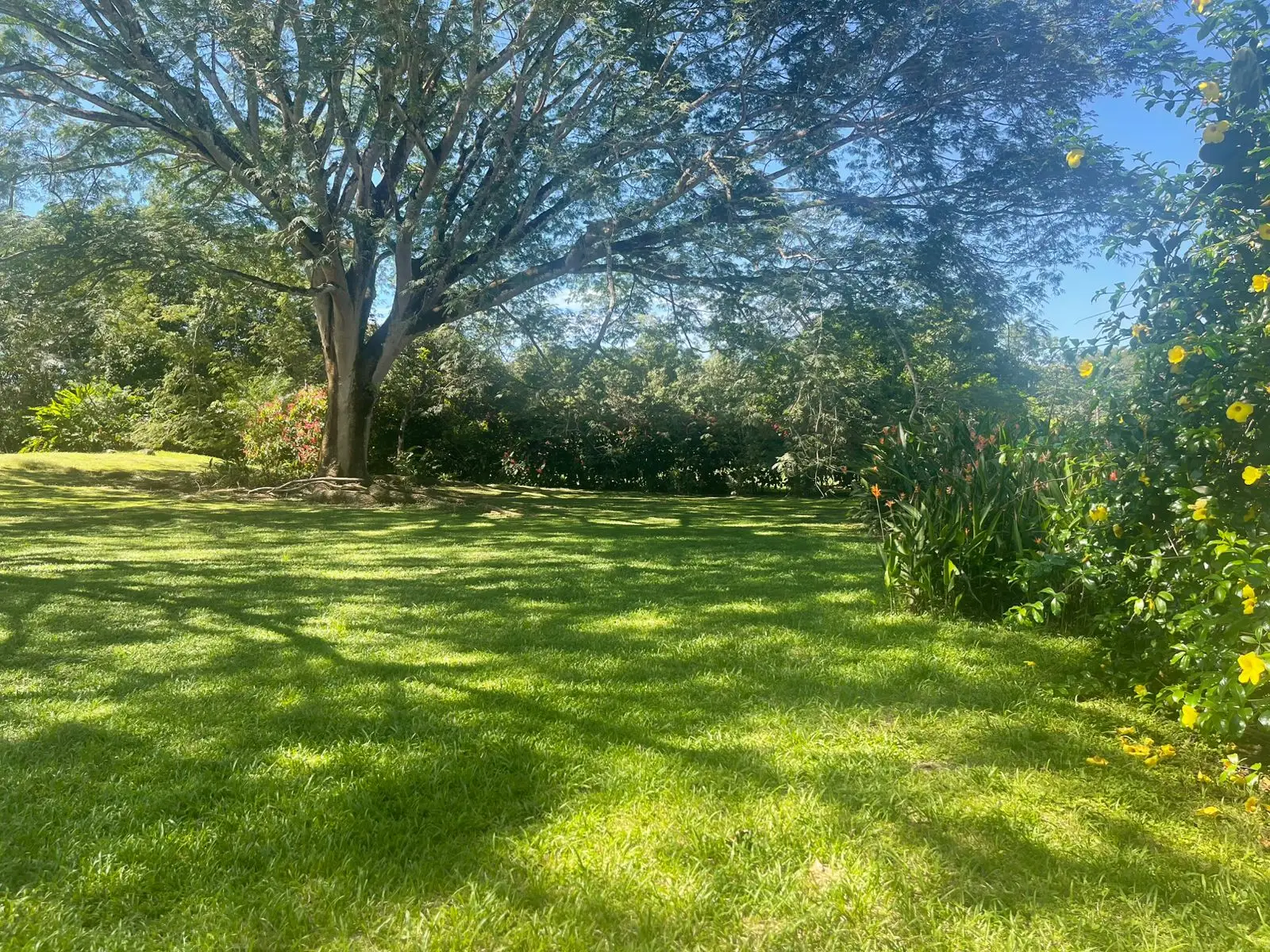 A hidden paradise in Orotina: 4,919 m² to create the life you dream of - image 2