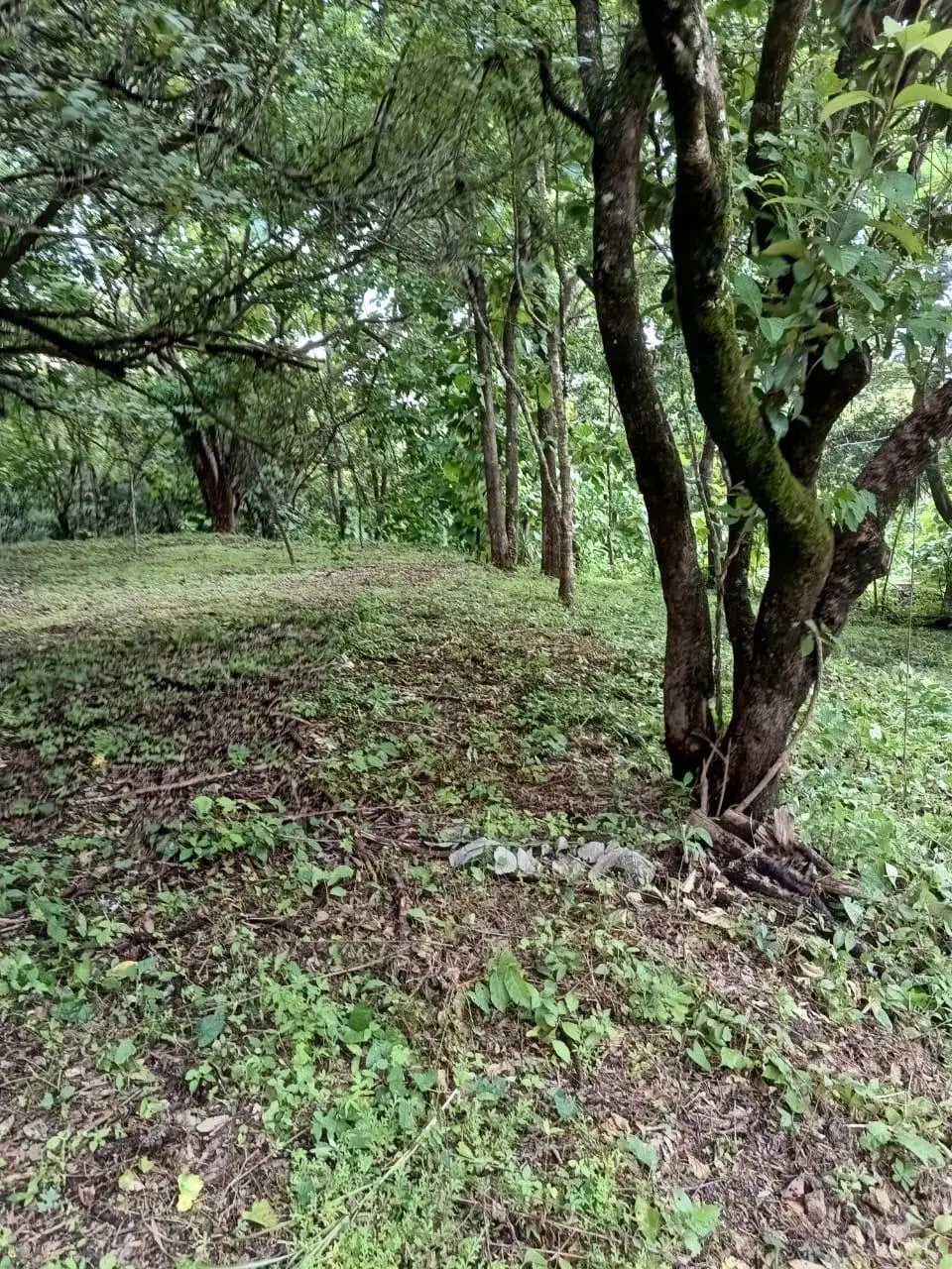 magnificent terraine  - image 5