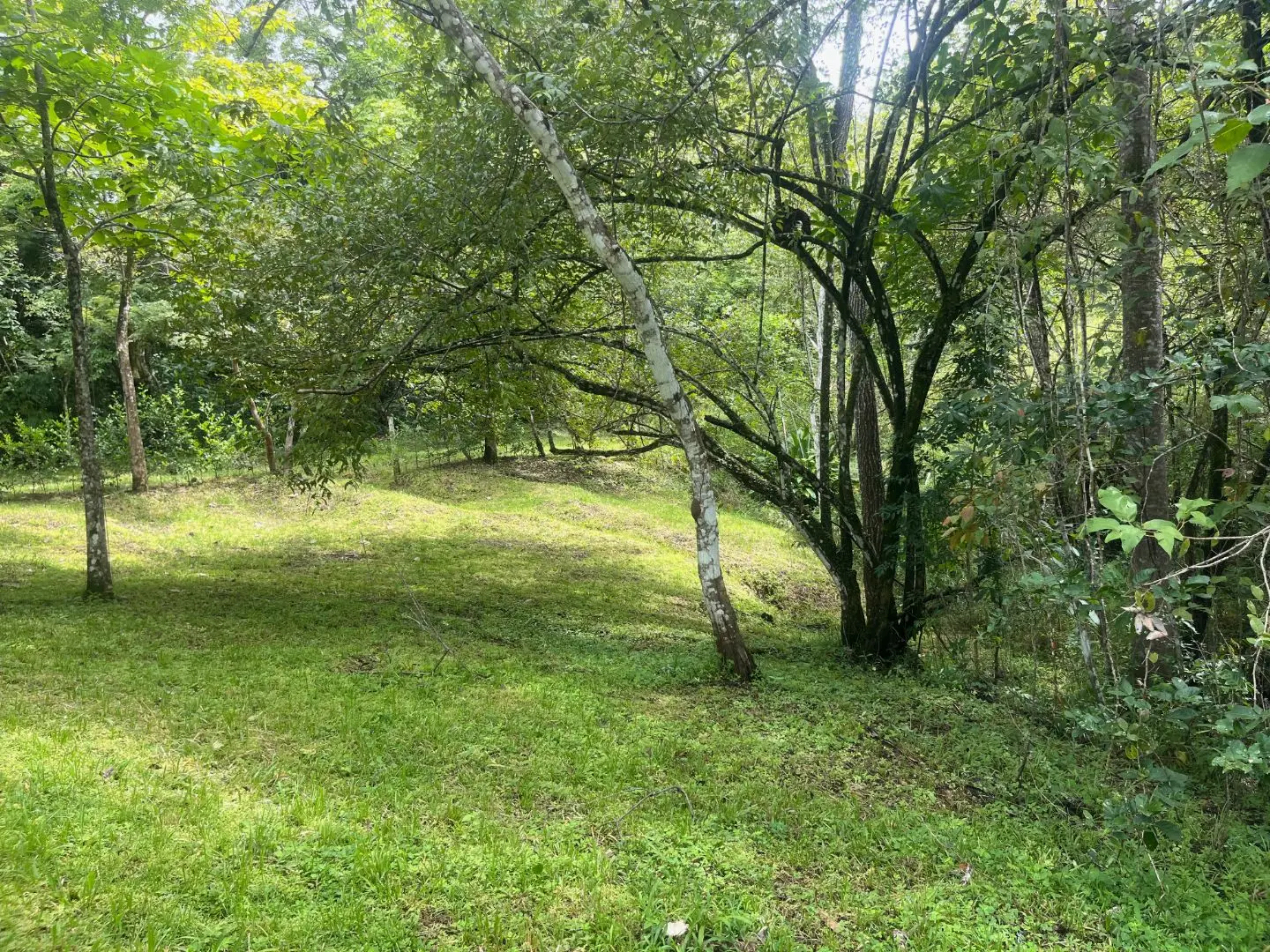 Beautiful Ready to Build Lot in Delicias,  Great Price with Project and Permits included - image 3