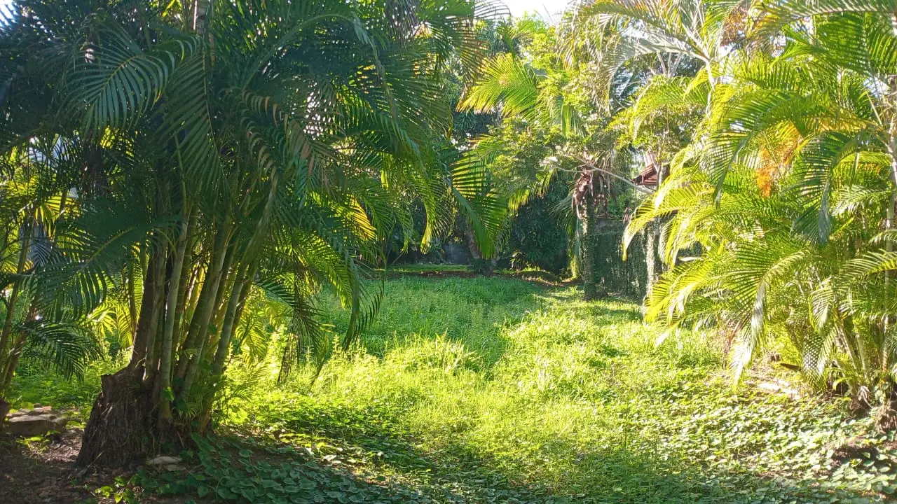 Sale / Dream Location in Jacó! 931 m² Lot Waiting for You - image 8