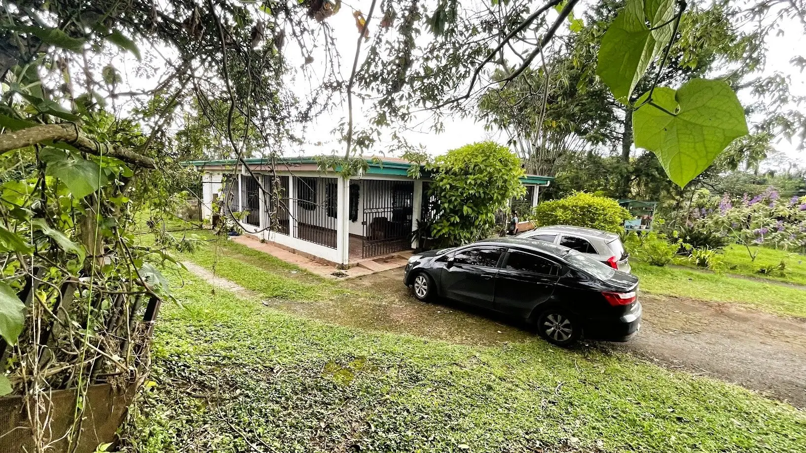 LAND WITH A HOUSE IN CARRIZAL, ALAJUELA - image 3