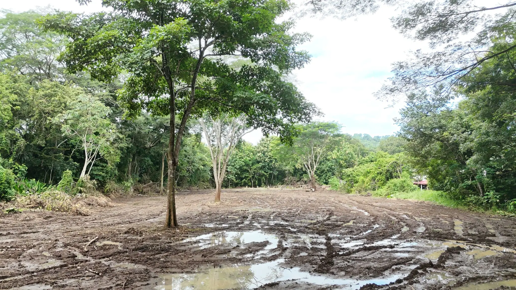 Prime Land for Sale in Tárcoles, Costa Rica - Ideal Development Opportunity! - image 9