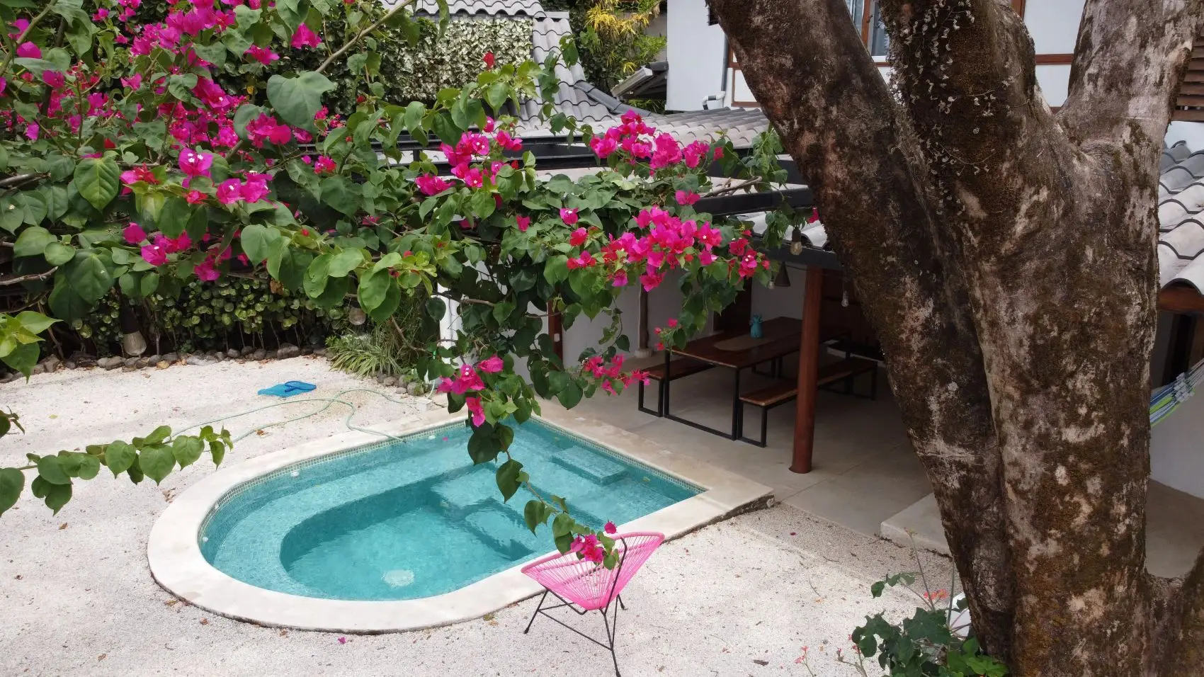 Stunning Cóbano Investment: Hotel, House & More with Ocean Views! - image 15