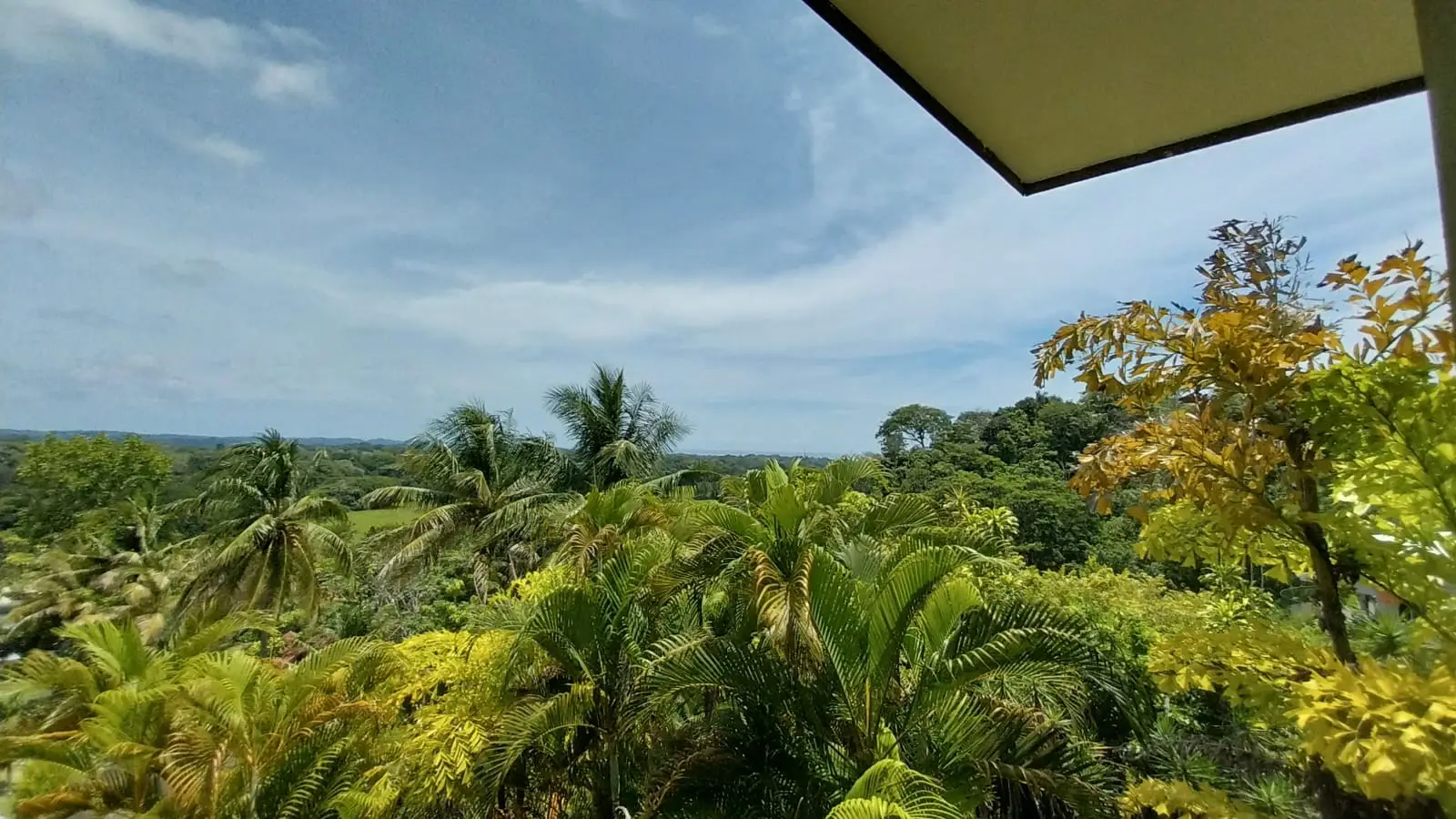 Two stunning Ocean View Houses - image 7