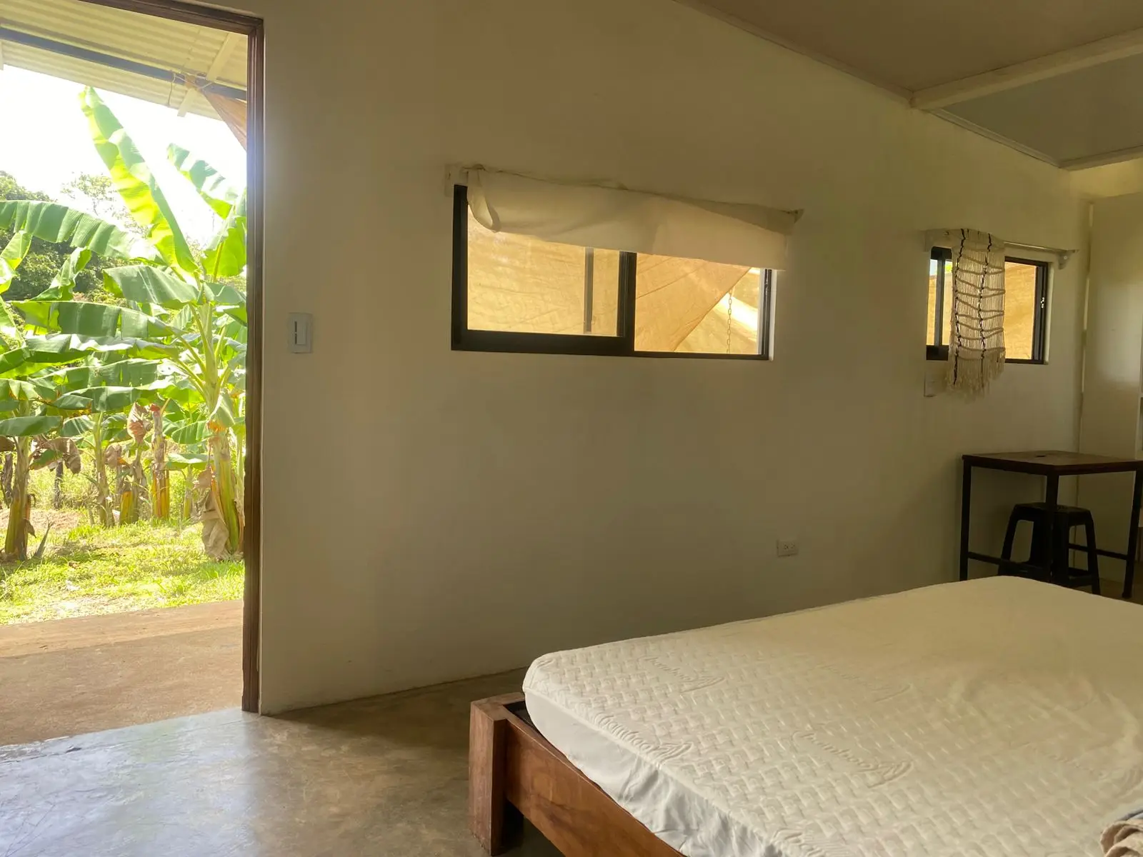 Two New Homes Near Santa Teresa - Income Property in Delicias  - image 15