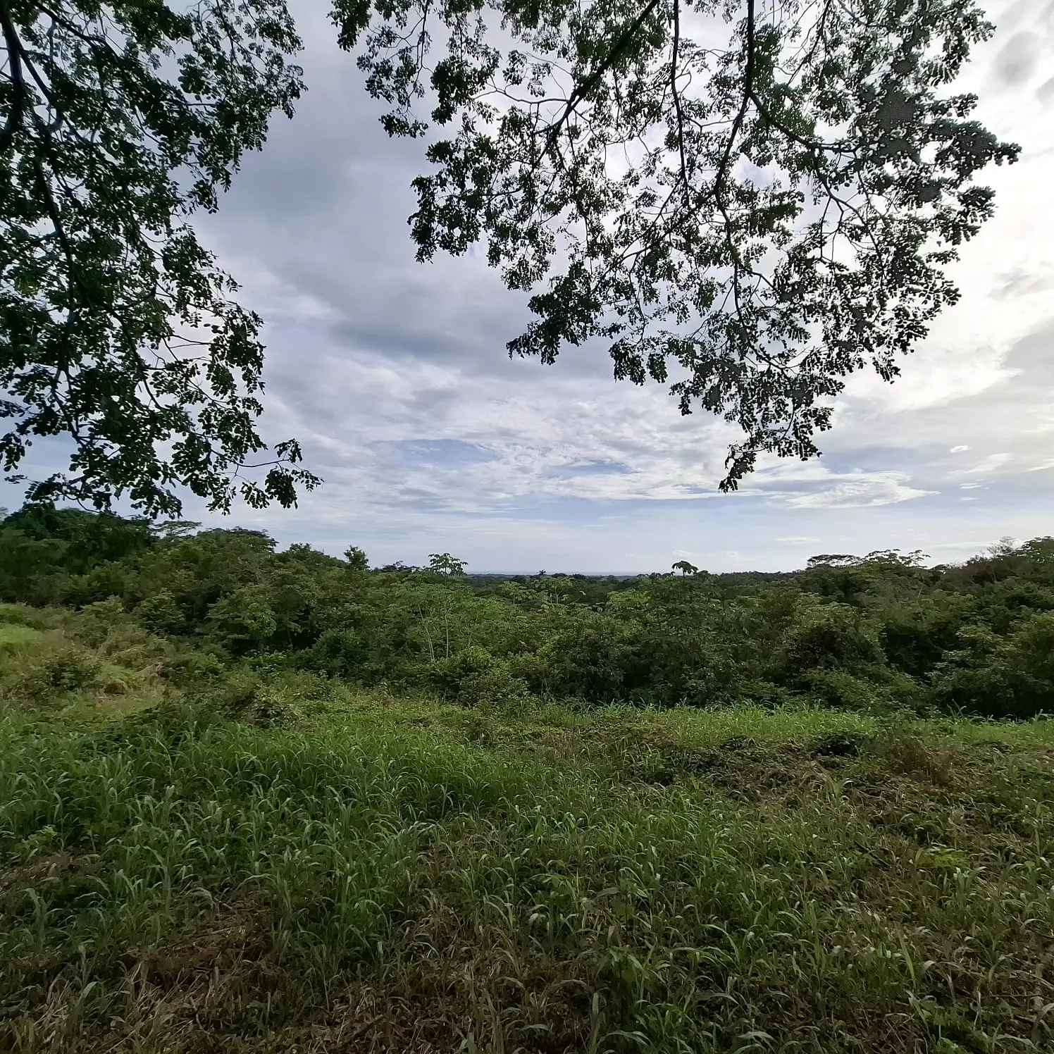 Garabito Land: 4-Acre Lot in Eco Desarrollo Community - image 3