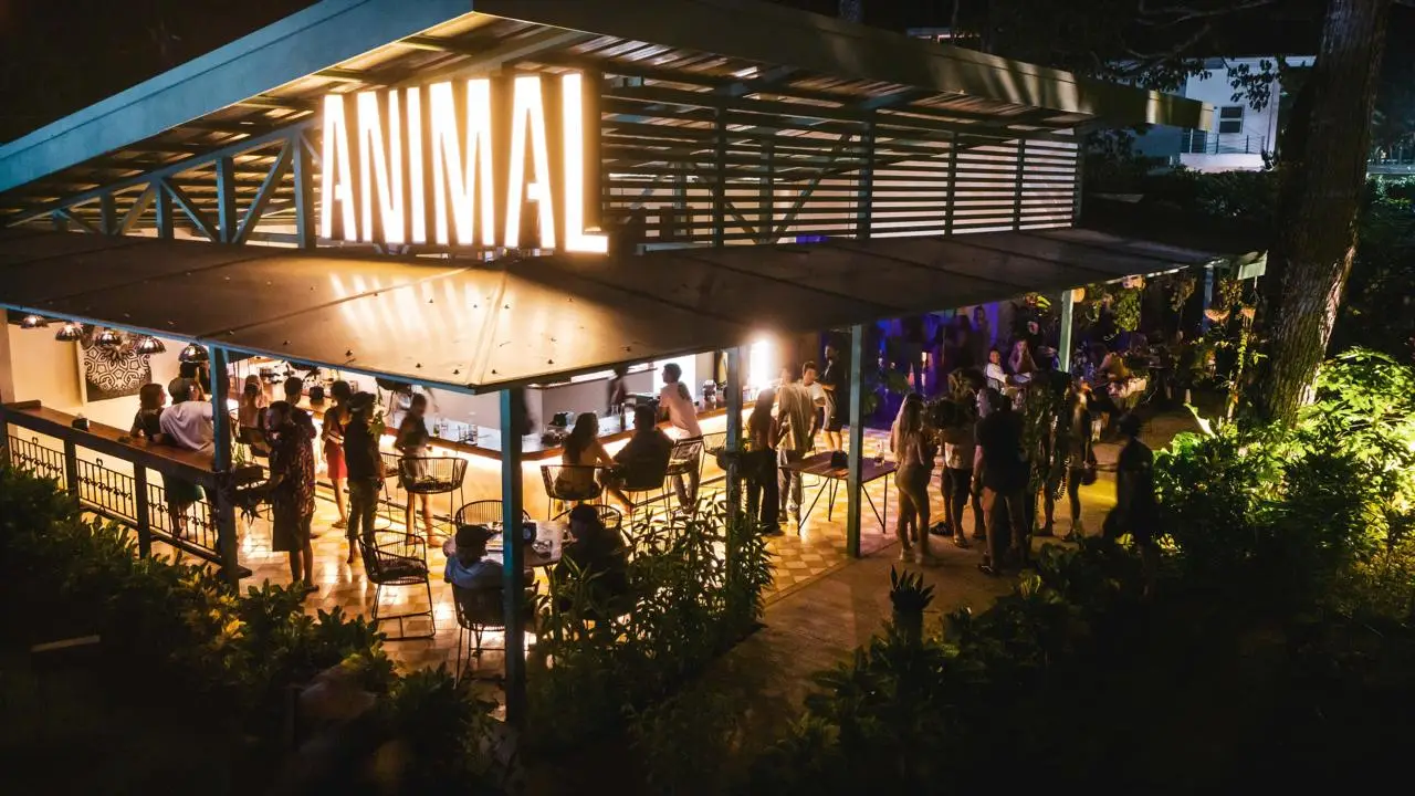 Thriving Animal-Themed Restaurant & Bar in Hermosa Beach| Turnkey Commercial Project - image 13
