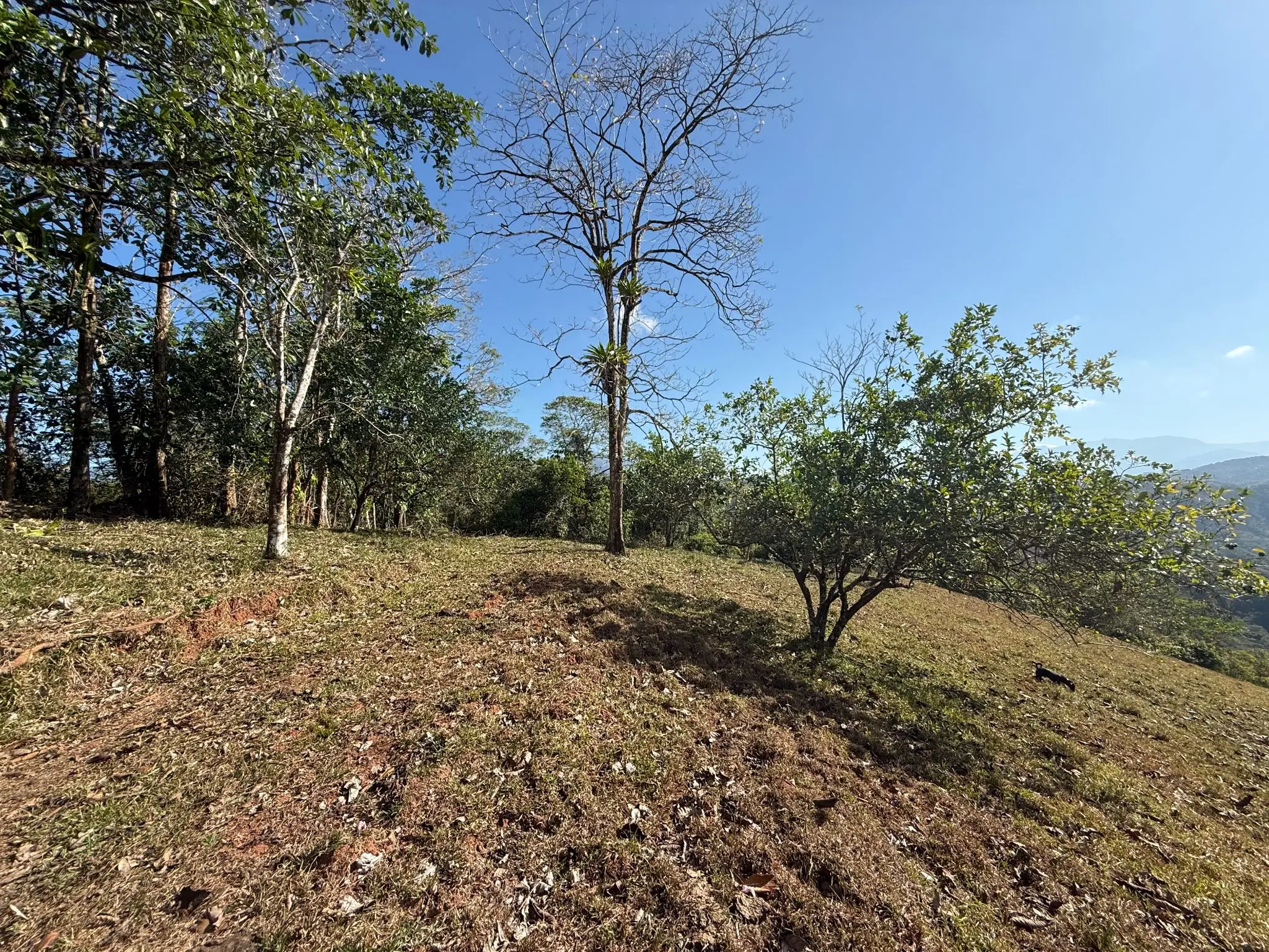 Eco-Luxury Mountain Santuary  11.48 Hectares of Pristine Paradise: Lush Forest, River & Farm Potential in Arenal Puriscal , San Jose  - image 3