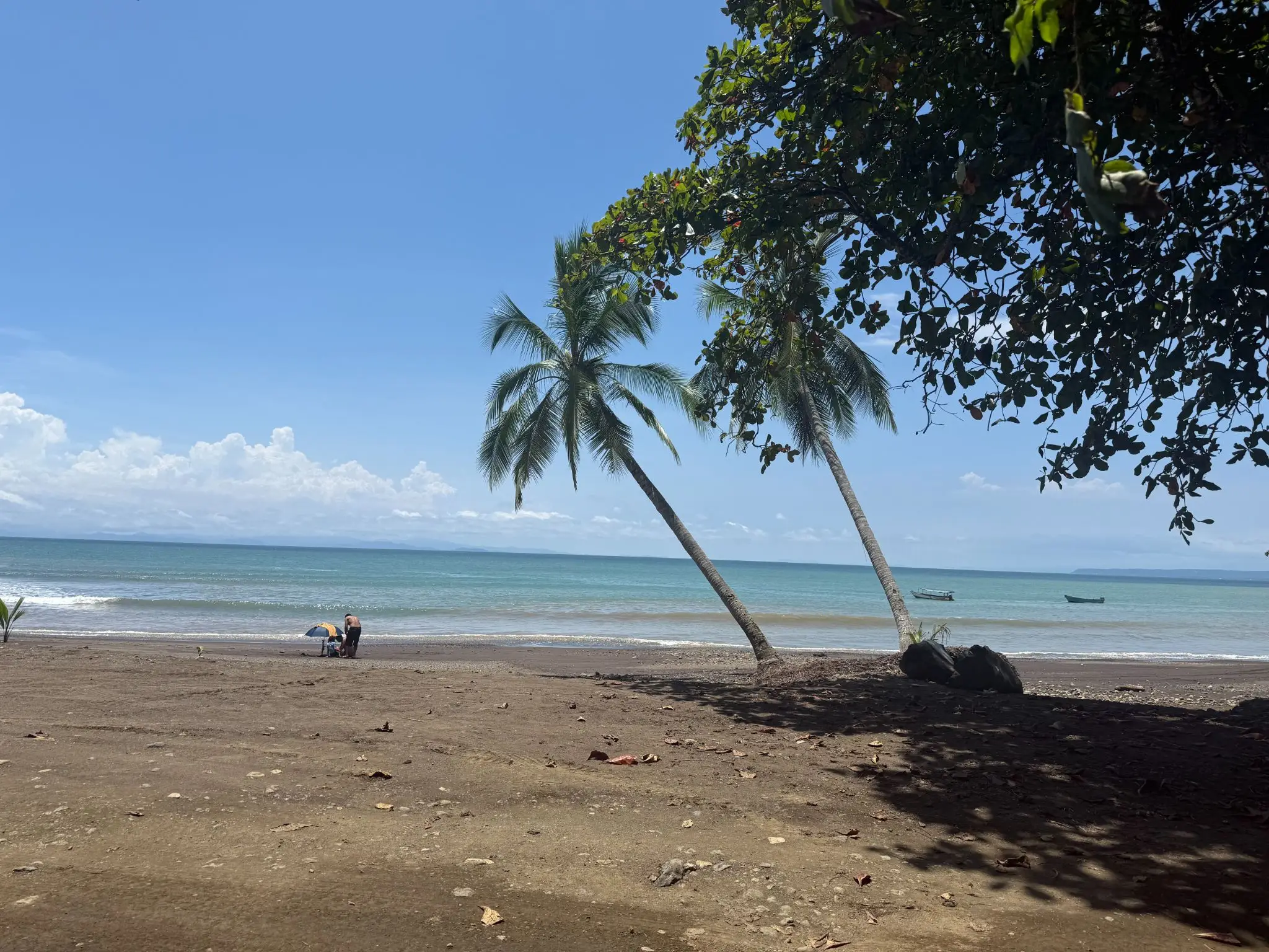 Playa Agujas Premier Ocean-View Development Parcel: 5.1 Hectares in Costa Rica's Garabito Coast - image 9