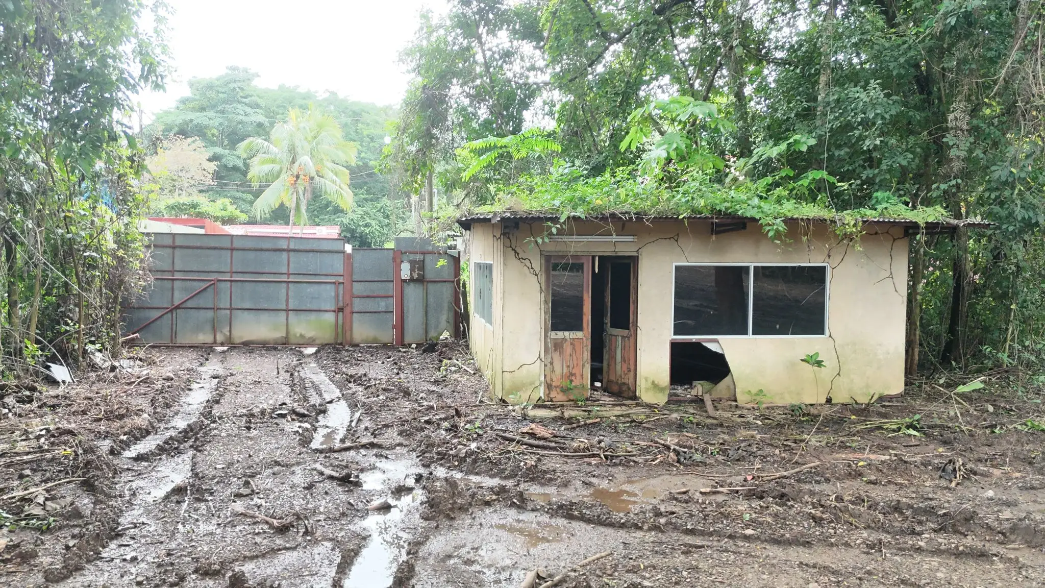 Prime Land for Sale in Tárcoles, Costa Rica - Ideal Development Opportunity! - image 11