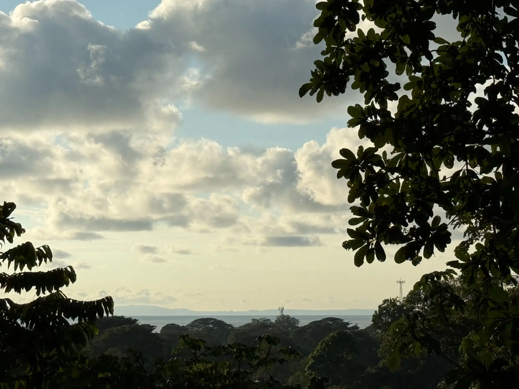 🌊 Luxury Tropical Investment: Ocean & Jungle View Lot with Approved Permits - image 2