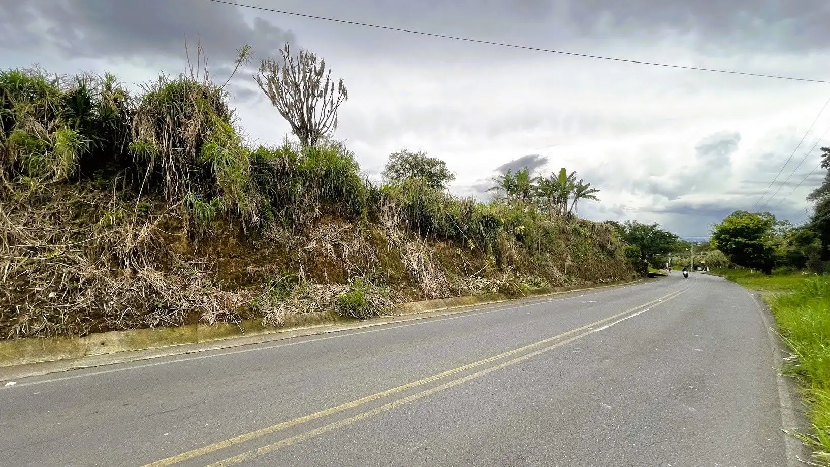 LAND WITH A HOUSE IN CARRIZAL, ALAJUELA - image 6