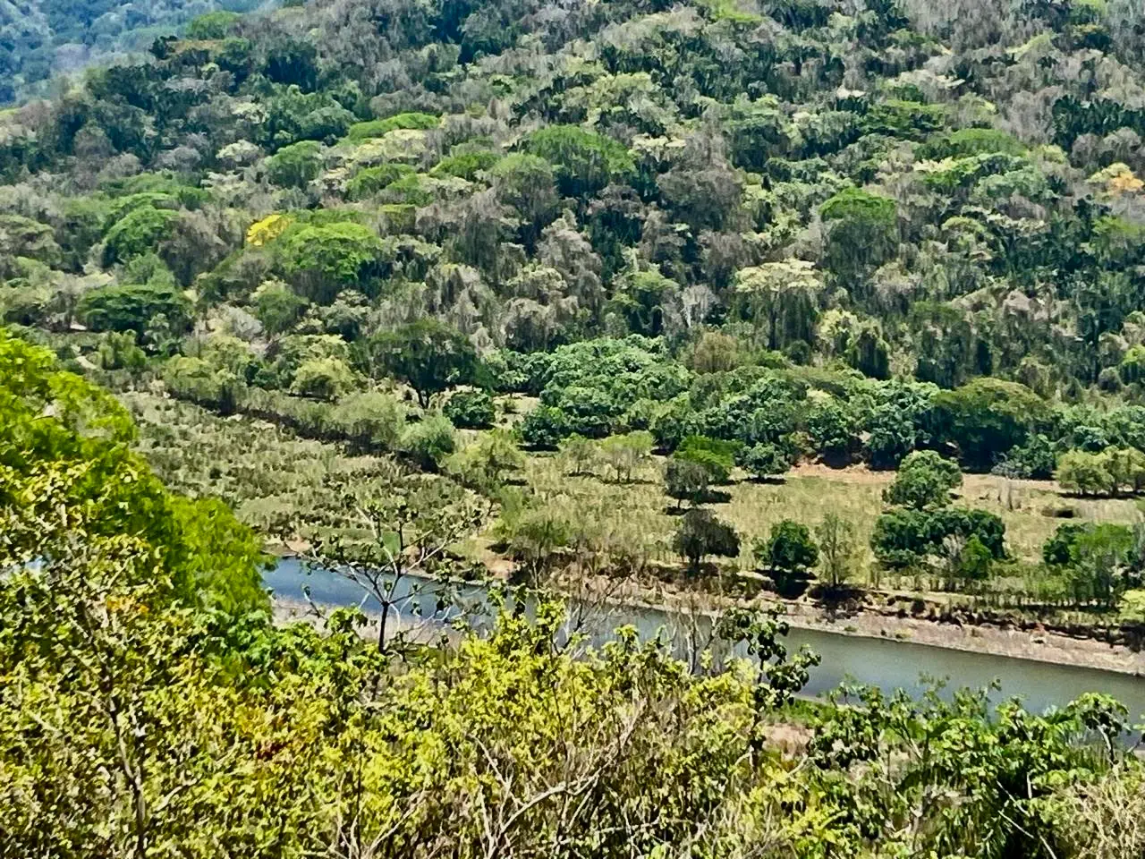 Prime Development Land Overlooking Carara Reserve & Tárcoles River | 2 Hectares - image 3