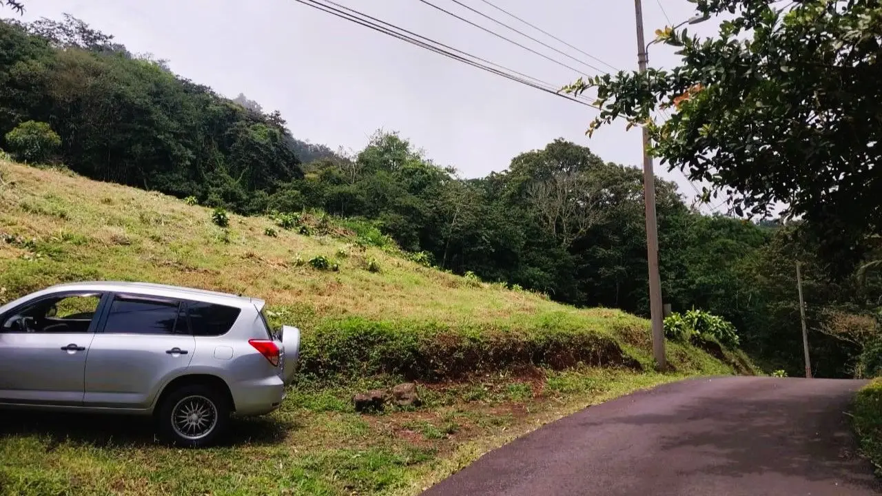 OCEAN VIEW LOT FOR SALE IN SANTIAGO, SAN RAMON - image 13