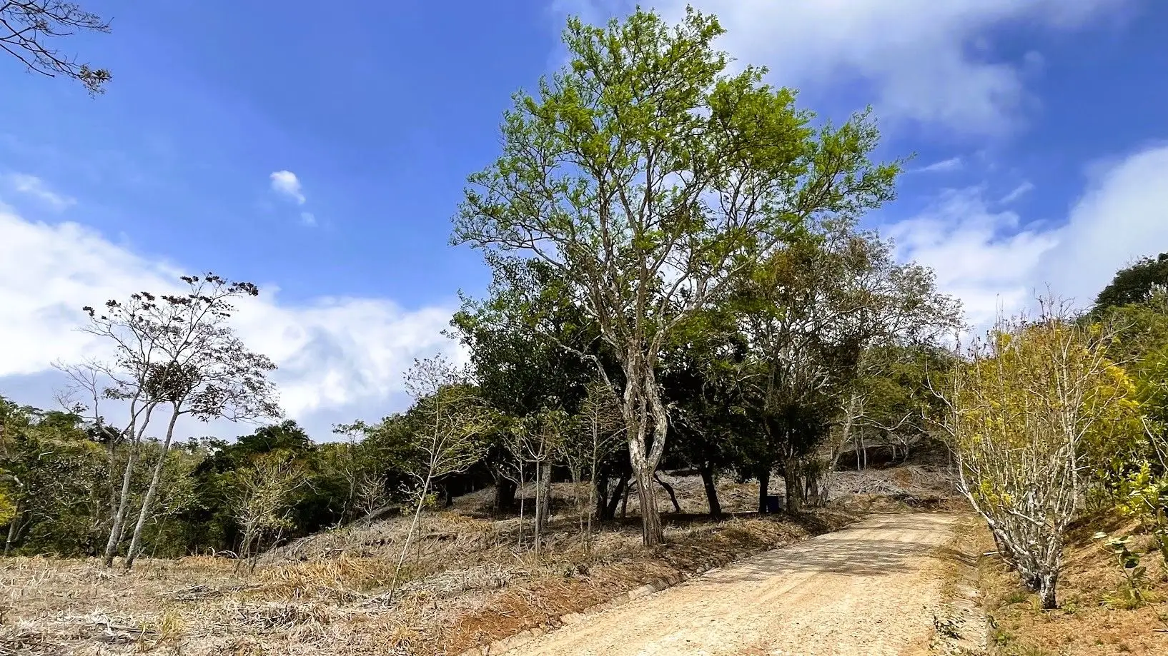 LOT FOR SALE - SAN PEDRO, SAN RAMON  - image 2