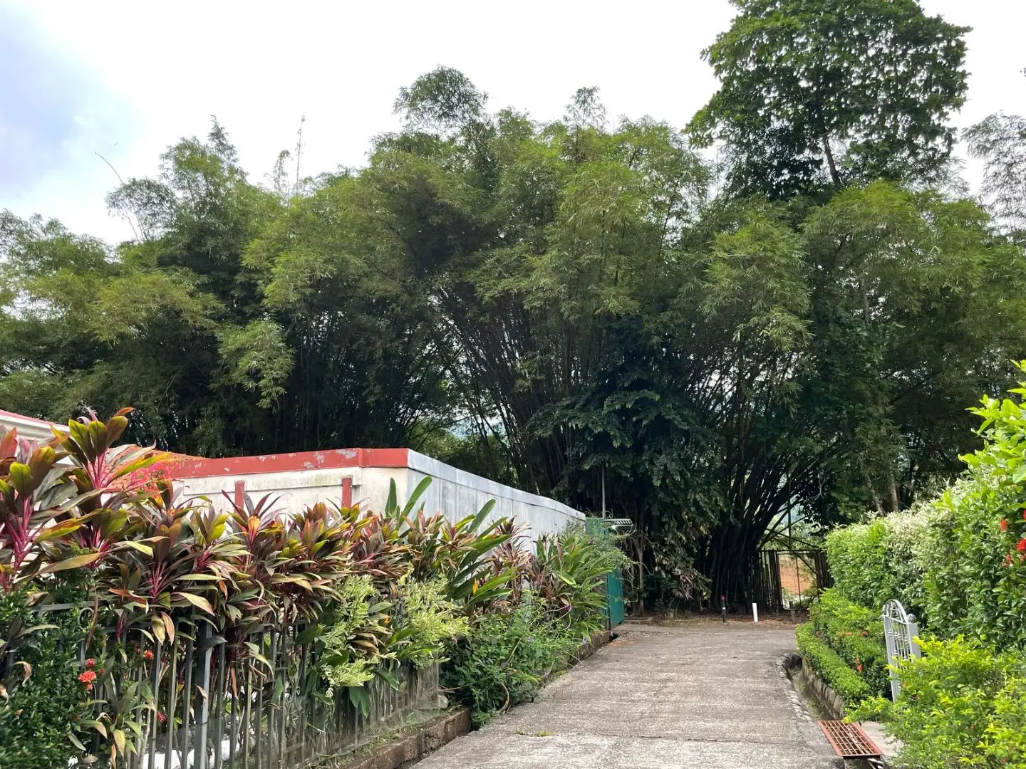 CHARMING  HOME WITH SCENIC FOREST VIEWS  - image 6