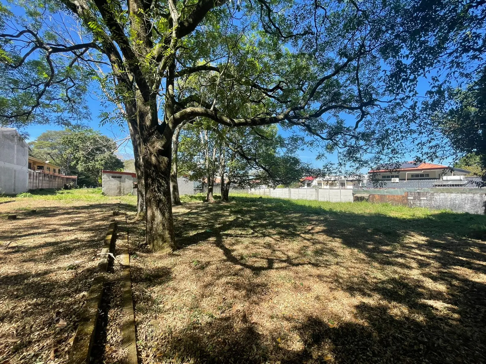 For Sale: large lot in Ciudad Colon  - image 8