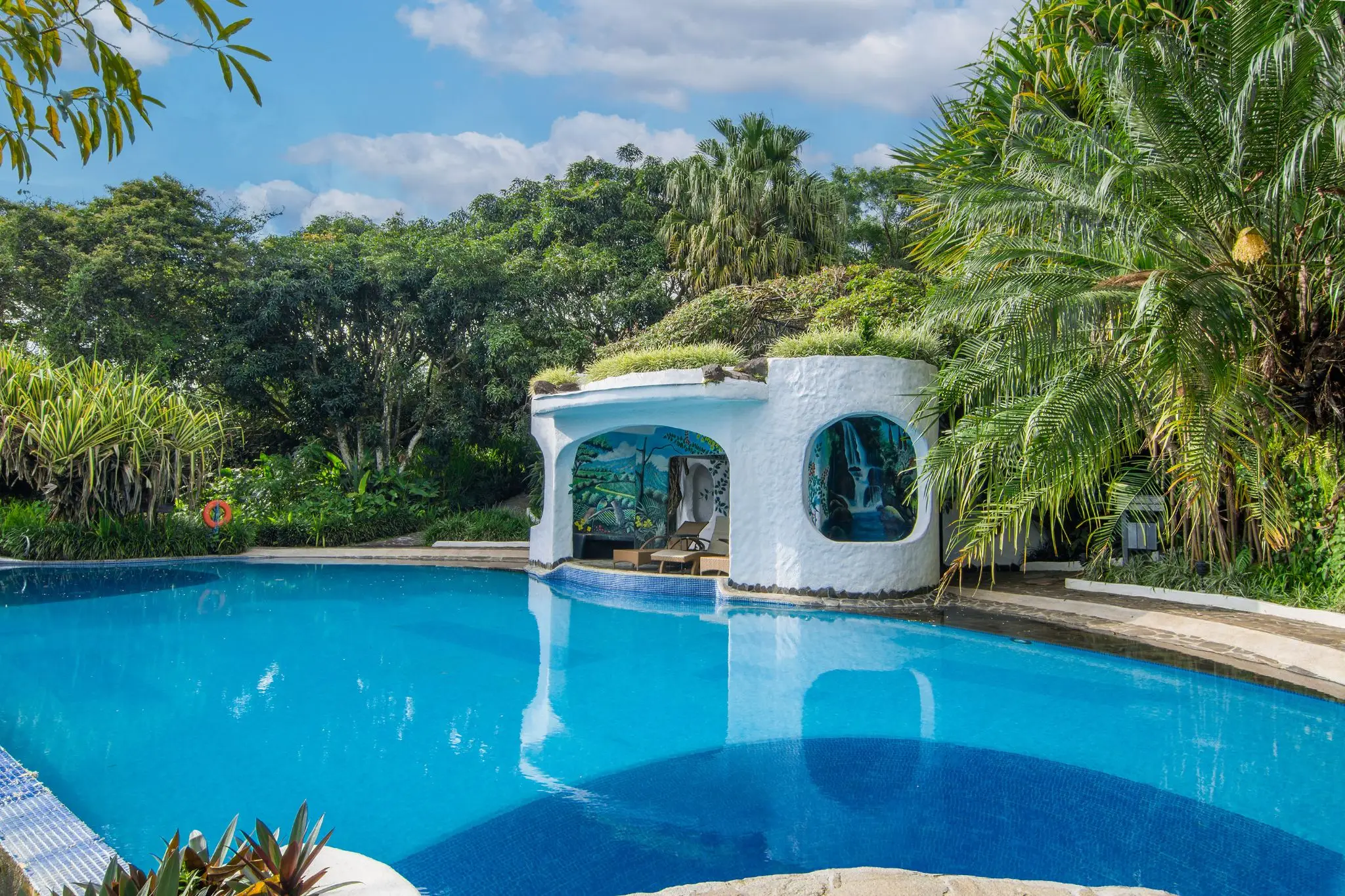 Costa Rica’s Premier Eco-Luxury  Organic Coffee Estate & Boutique Hotel - image 3