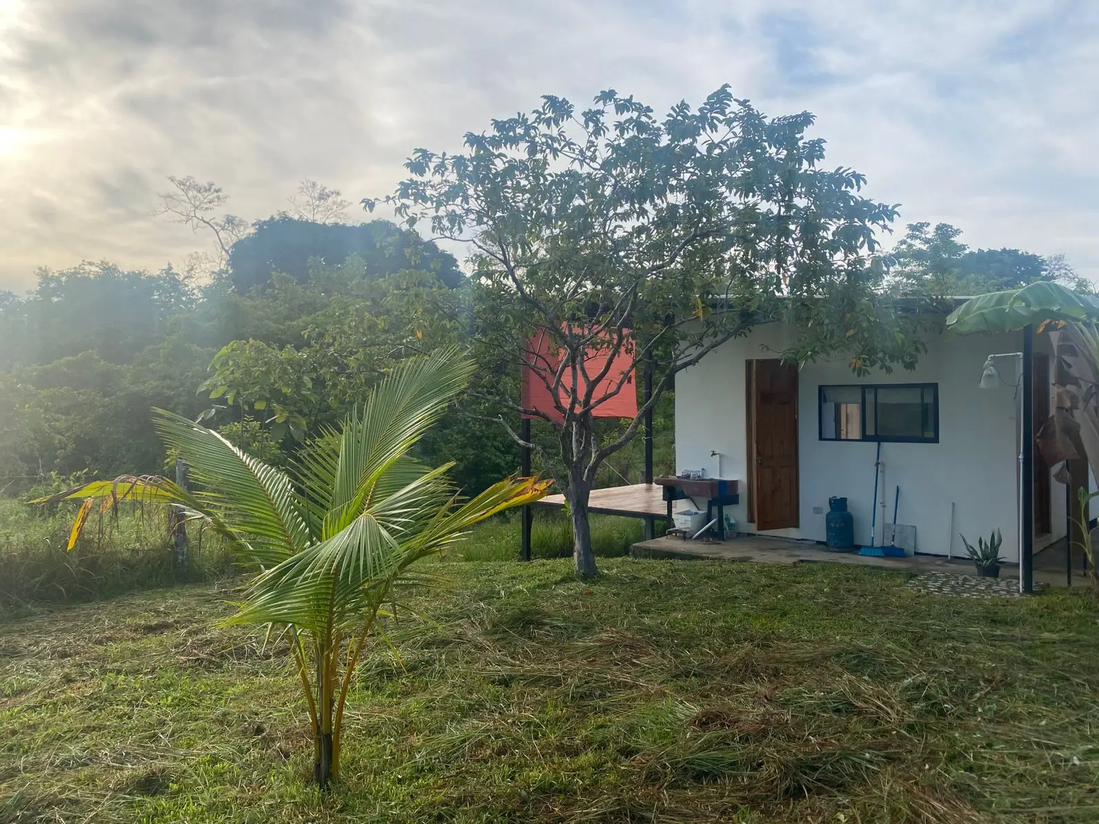 Two New Homes Near Santa Teresa - Income Property in Delicias  - image 2
