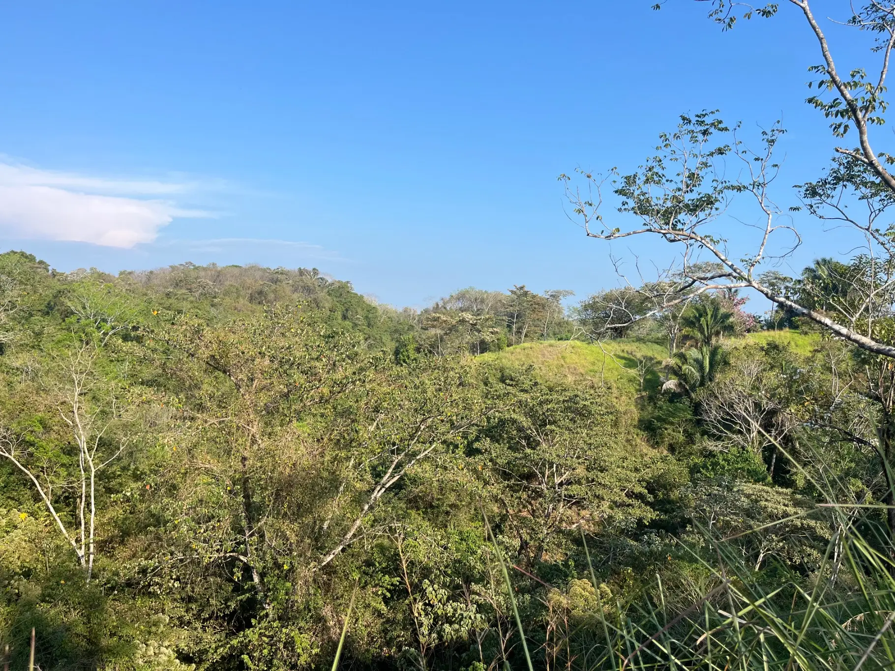 Lot with three building sites minutes to Hermosa in quiet neighborhood  - image 4