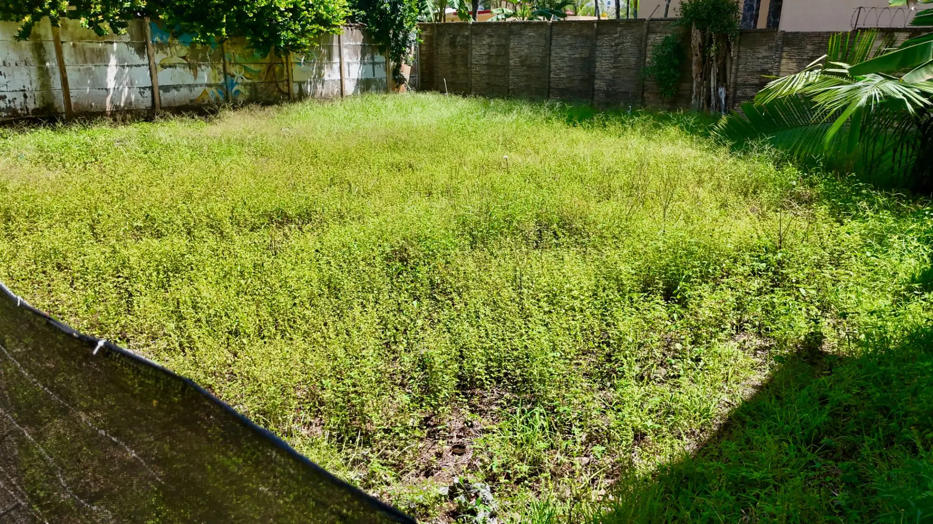 Lot just a few meters from Jaco Beach - image 11