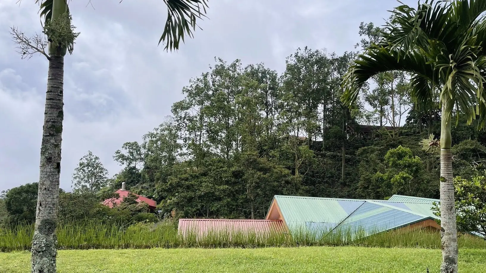 OCEAN VIEW LOT FOR SALE IN SANTIAGO, SAN RAMON - image 11