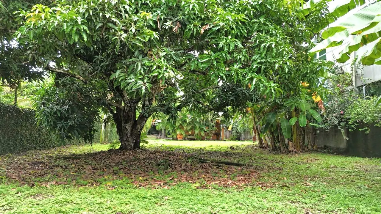 931 m² Development Lot on a Main Commercial Access Road in Jacó | Investment Opportunity - image 15